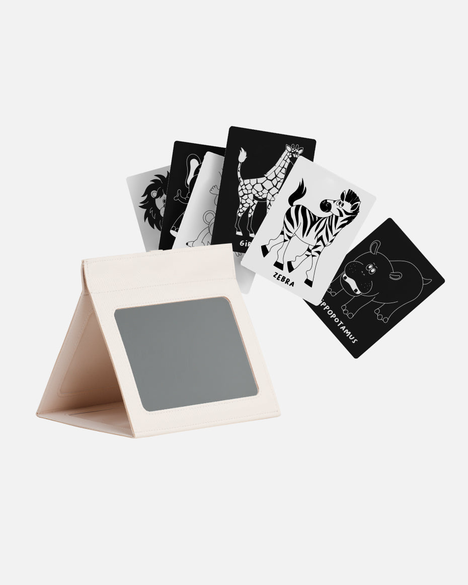 Tummy Time Mirror + Art Cards