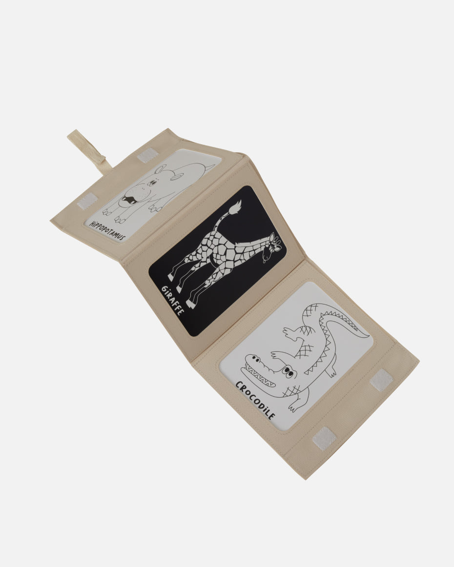 Tummy Time Mirror + Art Cards